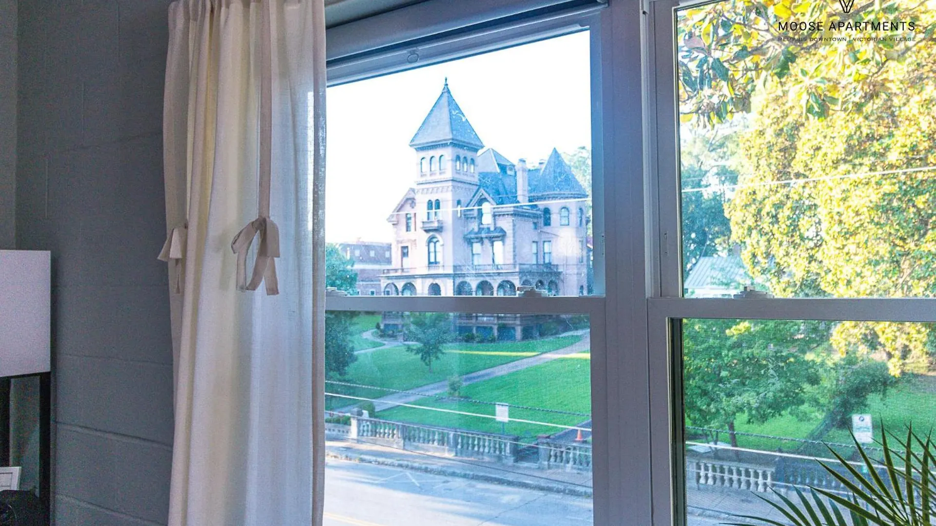 The Moose #7 - Instaworthy Studio With Amazing Views, Free Parking & Heated King Bed Memphis Apartment