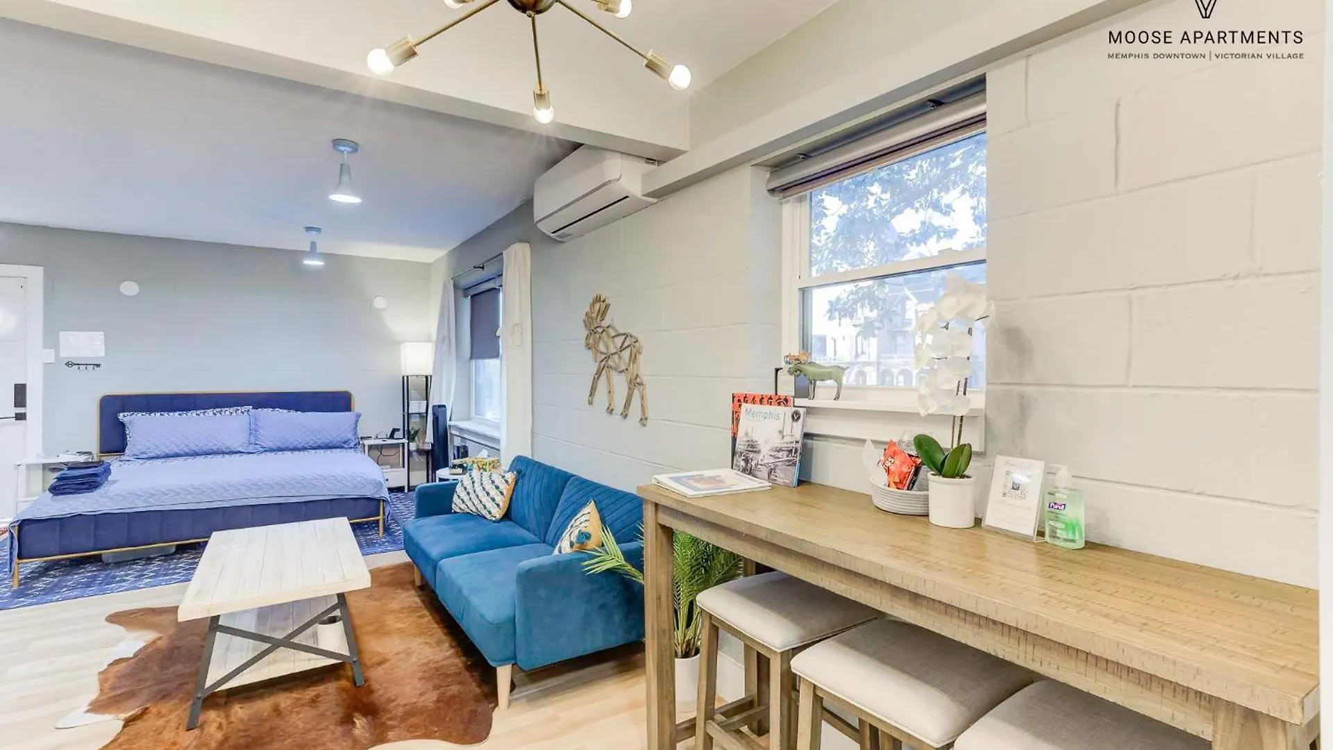 The Moose #7 - Instaworthy Studio With Amazing Views, Free Parking & Heated King Bed 멤피스 미국
